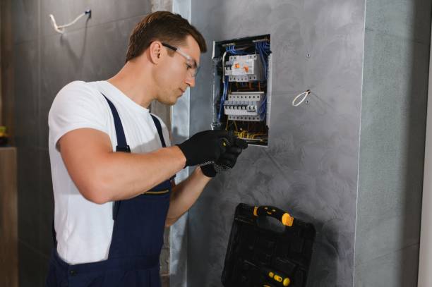 Best Electric Panel Repair  in Linden, AZ